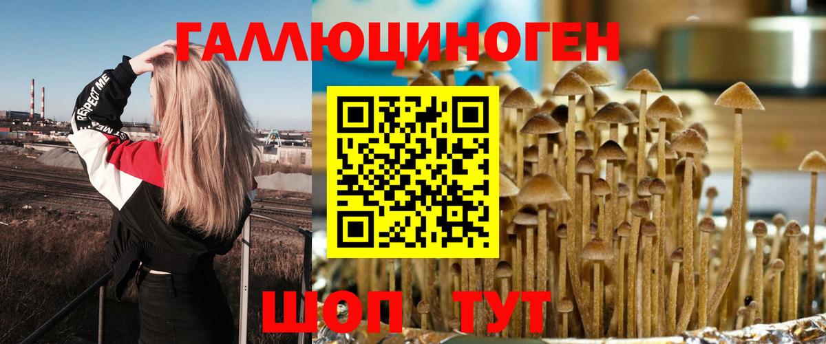 Симферополь  Псилоцибиновые грибы Cubensis  продажа наркотиков  Вход с VPN 