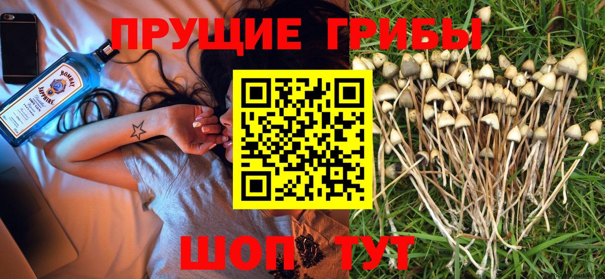 Псилоцибиновые грибы прущие грибы Симферополь